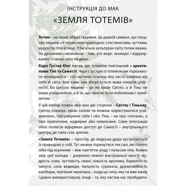 Метафорично-ассоциативные карточки "Земля тотемов" 180689, 71 карта 180689 фото