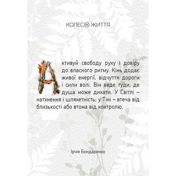 Метафорично-ассоциативные карточки "Земля тотемов" 180689, 71 карта 180689 фото