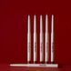 Карандаш для губ с витамином Е механический Paese The Kiss Lips тон 02 Nude Coral, 0,3 г 5902627624636 фото 23