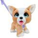 Интерактивная игрушка "Корги" серии "Poop-A-Lots" Furreal 28057 звуковые эффекты 28057 фото 1